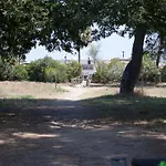 L'ancora