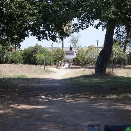 L'ancora