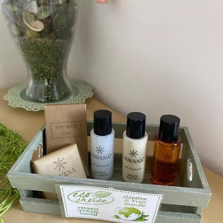 فندق مبيت وإفطار L'ancora Montesilvano Marina