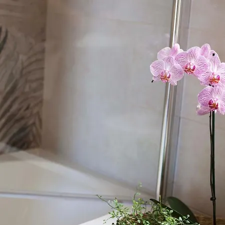 L'ancora Bed & Breakfast
